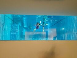 Faber Hills (D5), Detached #470579261